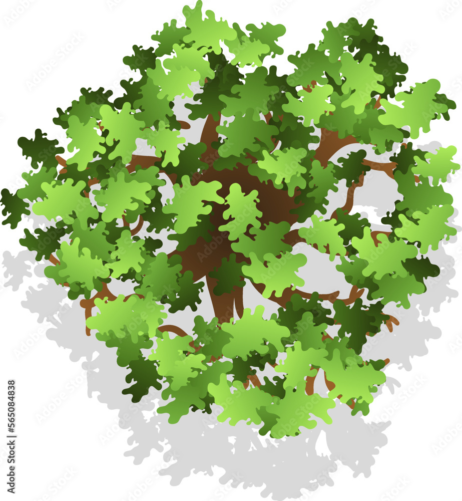 Poster architecture design plan element. green tree from above