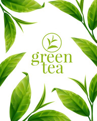 Realistic green tea leaves background for advertising poster. Vector illustration