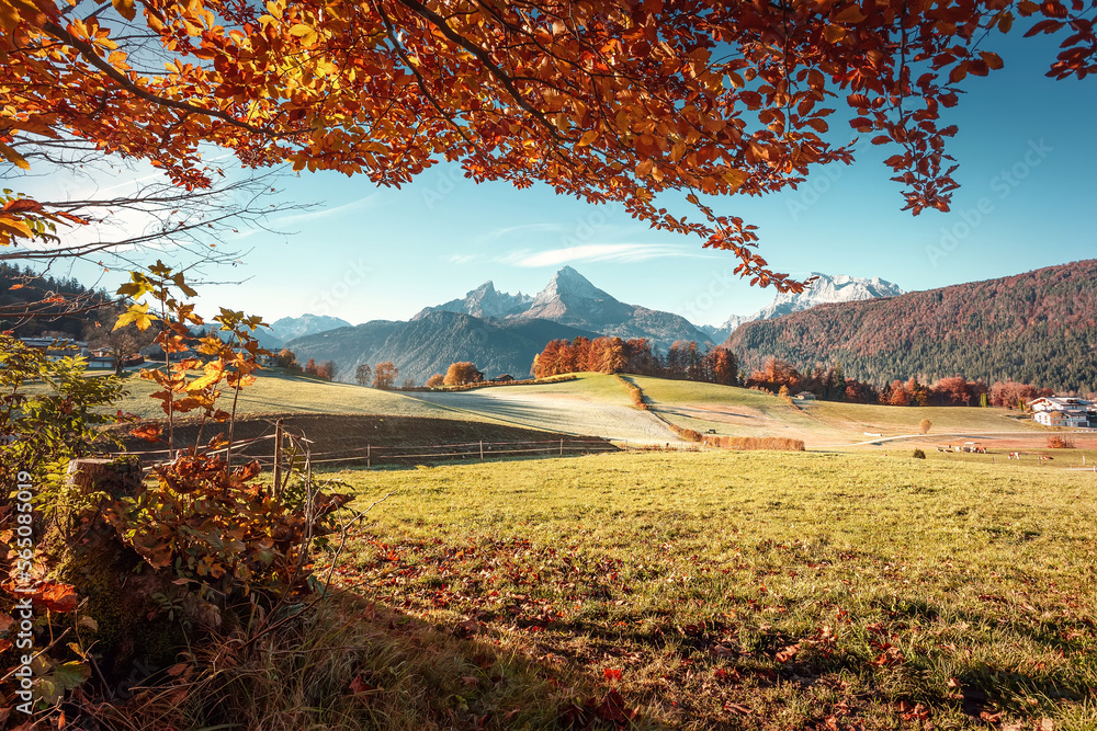 Aufkleber Amazing nature autumn scenery. Panoramic view of beautiful mountain valley in Alps with green grass, Colorful leaves under sunlight. Stunning autumn background. concept of an ideal resting place.