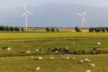 Fototapeta premium Windräder an der Nordseeküste