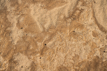 GRAINS OF SAND
