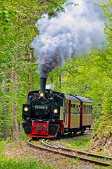 Selketalbahn bei Harzgerode im Harz,