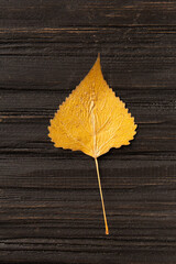 Autumn dry leaf on wooden background top view.