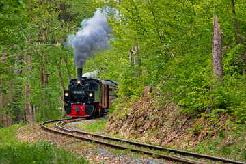 Selketalbahn bei Harzgerode im Harz,