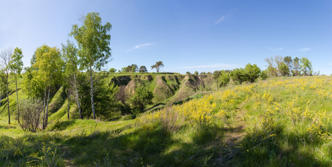 Fototapeta na wymiar Valley with ravines on slope overgrown with single trees, panorama
