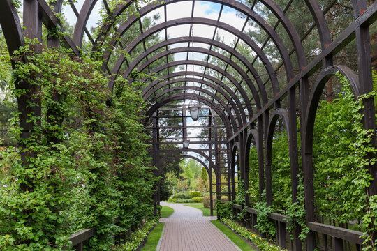 Wooden arched pergola in the spring public park