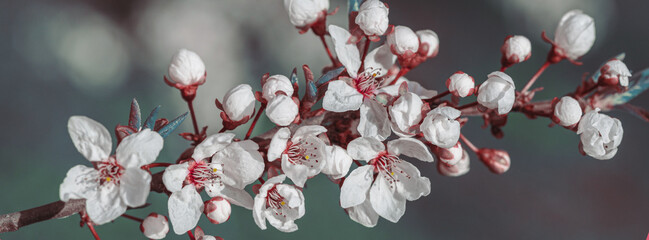 Beautiful floral spring abstract background of nature.