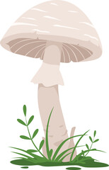 Toadstool cartoon icon. Growing wild mushroom in grass