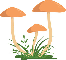Honey fungus icon. Growing wild mushroom nature