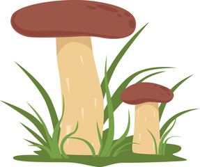 Growing mushroom in grass. Cartoon woodland nature