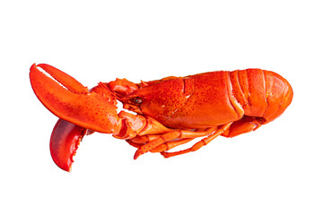 lobster fresh seafood expensive food product meal food snack on the table copy space food background rustic top view