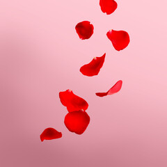 Beautiful red rose petals falling on light pink background