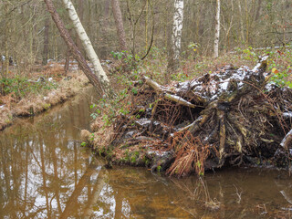 Winter am See im Münsterland