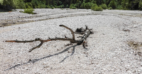 ausgetrocknetes Prisank Pisnica-Flussbett, im Triglav Nationalpark in Slowenien