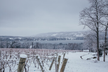 Winter view of Keuka Lake