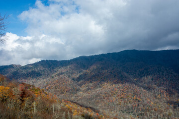 Fototapeta na wymiar Colorful autumn landscape in Great Smoky Mountains National Park