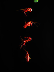 Red boiled crayfish on a black background. Minimalism. There are no people in the photo. There is free space to insert. Healthy seafood recipes. Organic food.