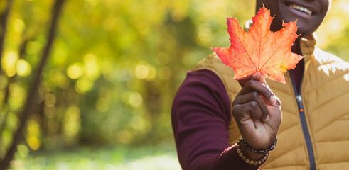 Banner Close up portrait of african american man gives autumn maple leaf copy space. Autumn nature....