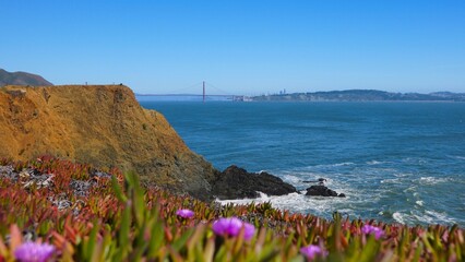 Spring flowers along Northern California coast © A Beautiful World