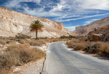 Road in stone desert of the Negev, Israel - obrazy, fototapety, plakaty