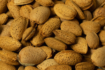 Whole almonds in shell closeup against white background.