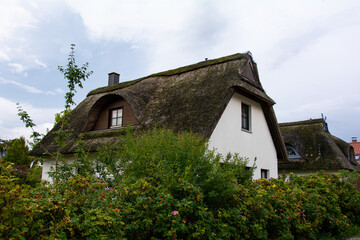 Fototapeta na wymiar House with thatched roof and a green hedge