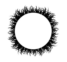 grass frame isolated on white background