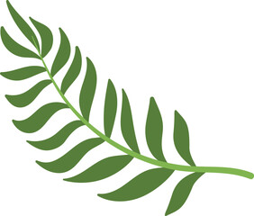 Palm leaf icon. Green jungle tree symbol