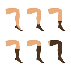 Types of brown socks set. Socks of different heights and various forms. Vector illustration isolated. 