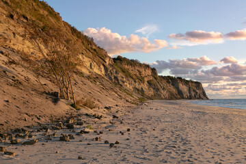 Landscape of the Baltic Sea coast in northern Europe. High steep cliff, sandy beach. Warm autumn day, yellow colors of golden autumn.