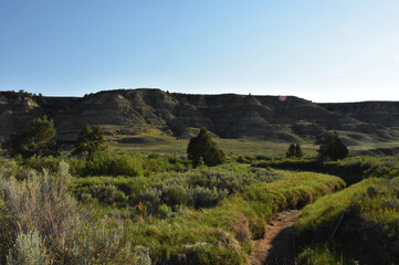 Fototapeta na wymiar Trodden Hiking Trail and Path in North Dakota