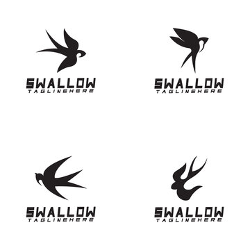 Swallow logo. silhouette swallow flying logo vector isolated white background