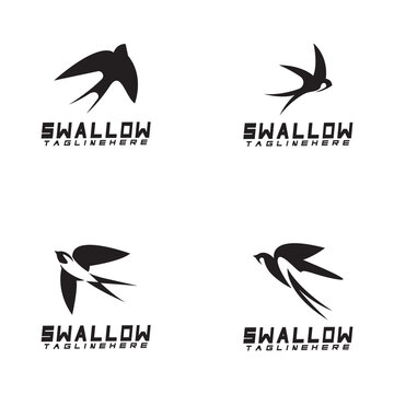 Swallow logo. silhouette swallow flying logo vector isolated white background