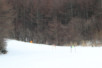 スキー競技　スラロームコース　フラッグ