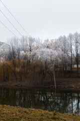 Obraz premium Winter landscape in Moldova on a cloudy day.
