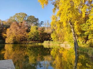 Fototapeta premium Sunny autumn day over the water, natural reflection of trees in the water 