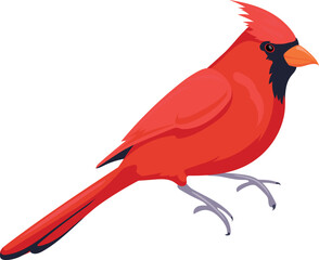 Cardinal bird icon. Red feathers wild animal