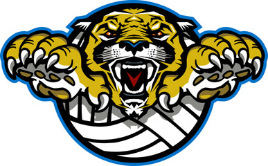 cougar mascot inside volleyball for school, college or league sports