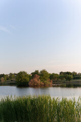 Obraz premium Tychero lake in Soufli region Evros Greece ducks family