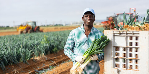 African american man with a leek in hand in the field