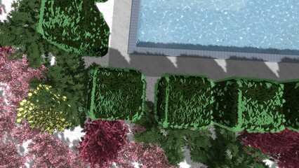 3D illustration of a modern patio landscape design with a decorative pool. Computer visualization of urban area improvement. Contrasting composition from a group of plants.