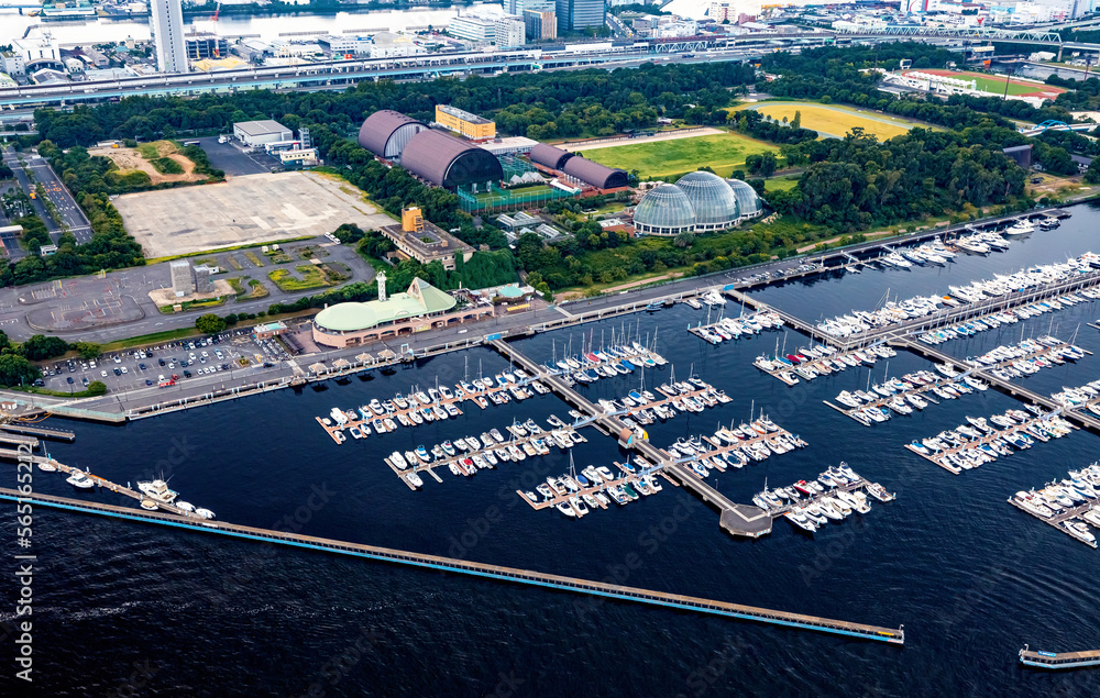 Wall mural yumenoshima marina boats docked in tokyo, japan