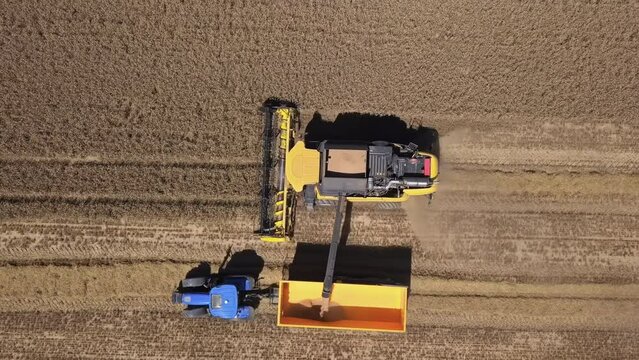 Overhead aerial view of harvester harvesting wheat and unloading grains into truck. 5x speeded up from 24 fps.