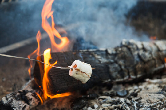 campfire marshmallow with fire and burning log