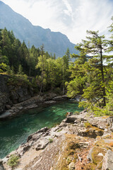 river surrounded by rocks and trees with mountain and sky in background
