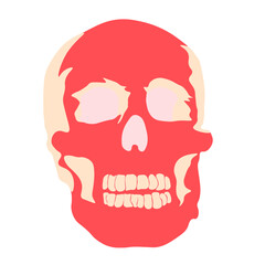 Illustration of a skull. Head vector. Skeleton Scary.