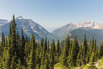 Mountains and trees view from highland trail, glacier national park