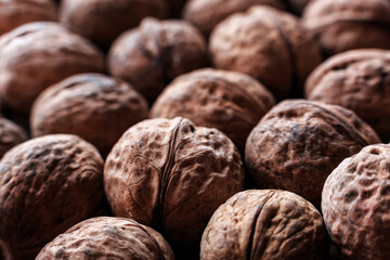 Lots of ripe, whole walnuts in a wrapper close-up.