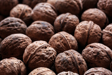 Lots of ripe, whole walnuts in a wrapper close-up.