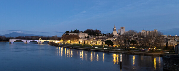 Fototapeta na wymiar Pont d'Avignon 2